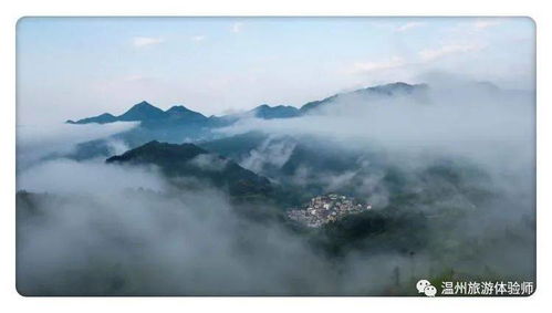 青田竹上人家云中行