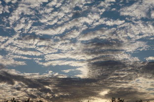 故 鄉 的 云專輯 三江源t