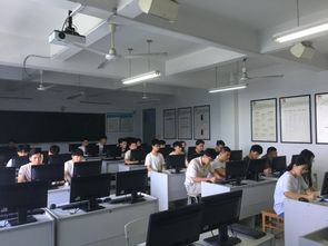 動態(tài)網(wǎng)站開發(fā)專項實訓(xùn) 計算機應(yīng)用技術(shù)學(xué)生的技術(shù)提升之路